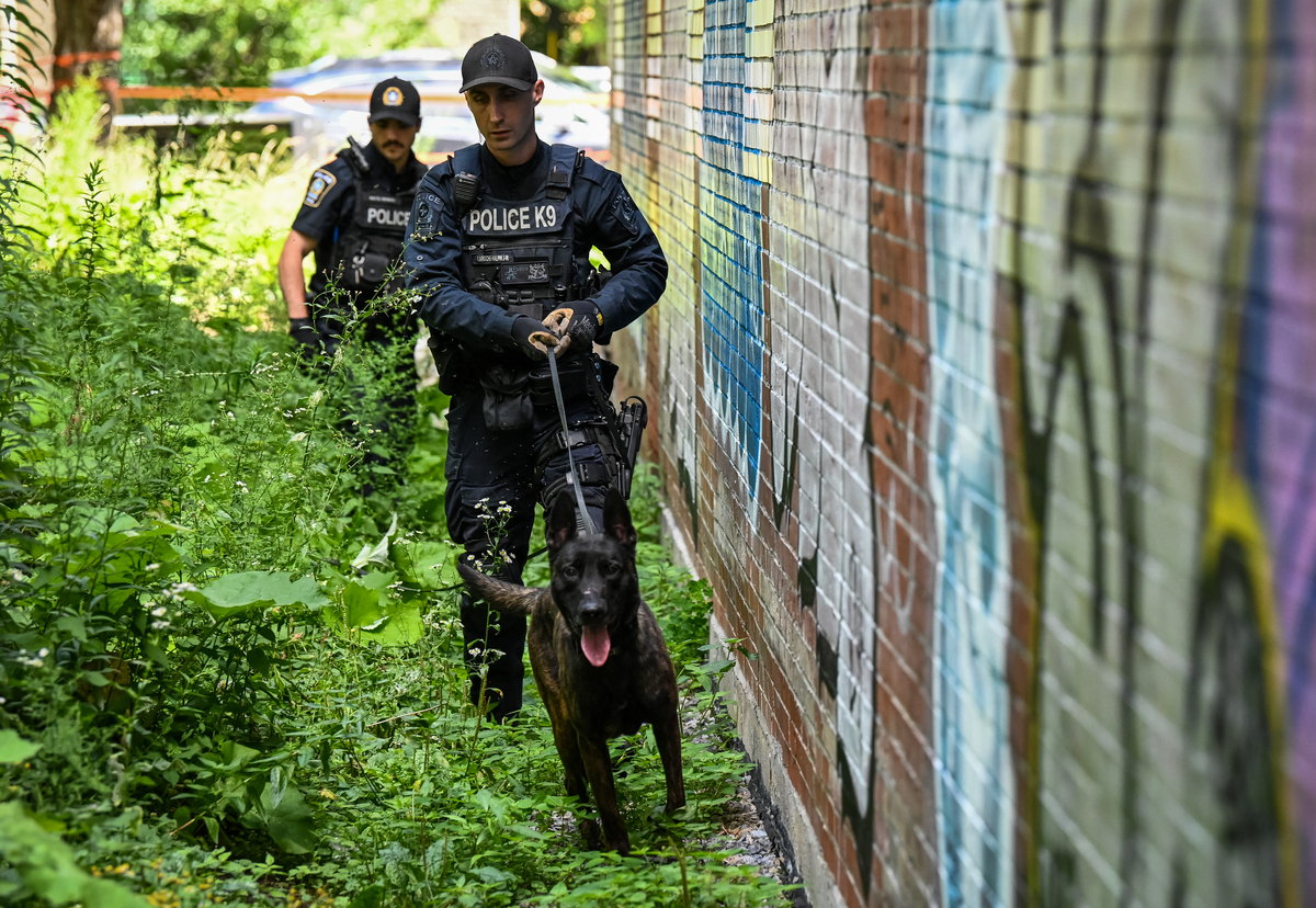 two stabbed itinerants street montreal two stabbed itinerants street montreal new